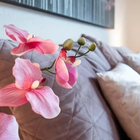 Julija Riedheim Apartment Hilzingen